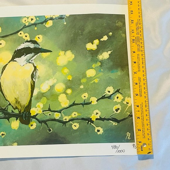 Beaconhill Collective Spring Bird Limited Edition 480/1000 Giclee Print 12x20.5” - Picture 4 of 12